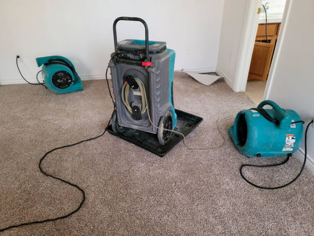 Best Fire Damage Restoration  in Nocona, TX