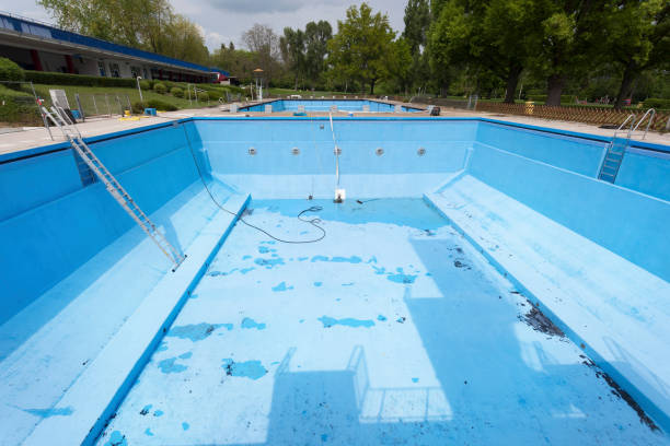 Best Mold removal after water damage  in Nocona, TX