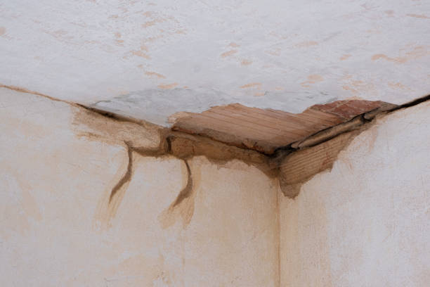 Best Sewage cleanup and water damage restoration  in Nocona, TX