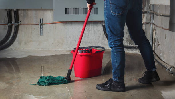 Best Water damage contractors near me  in Nocona, TX