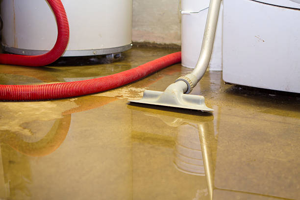 Best 24/7 water damage repair  in Nocona, TX