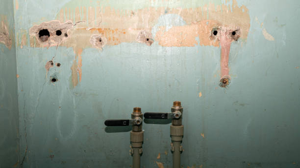 Best Water damage restoration company  in Nocona, TX
