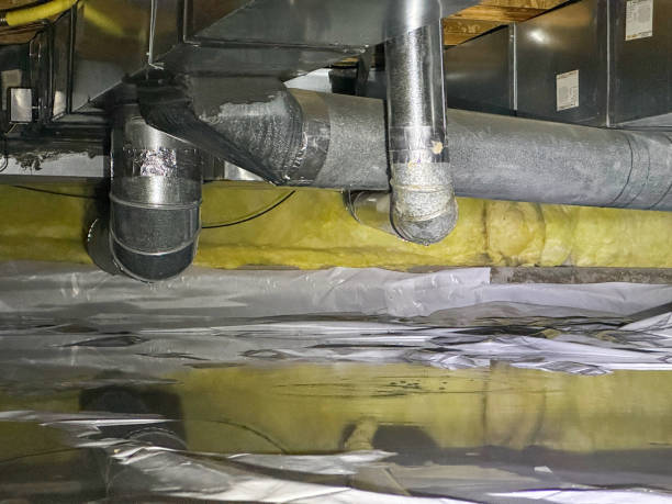 Best Flood damage cleanup  in Nocona, TX