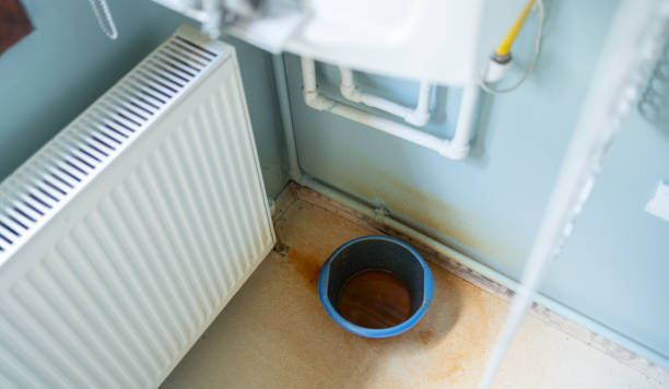 Best Ceiling water damage repair  in Nocona, TX