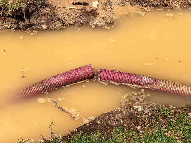 Best 24-hour water damage restoration  in Nocona, TX