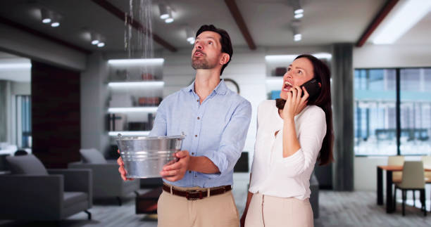 Best Basement water damage restoration  in Nocona, TX