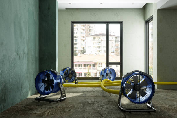 Best Water damage cleanup near me  in Nocona, TX