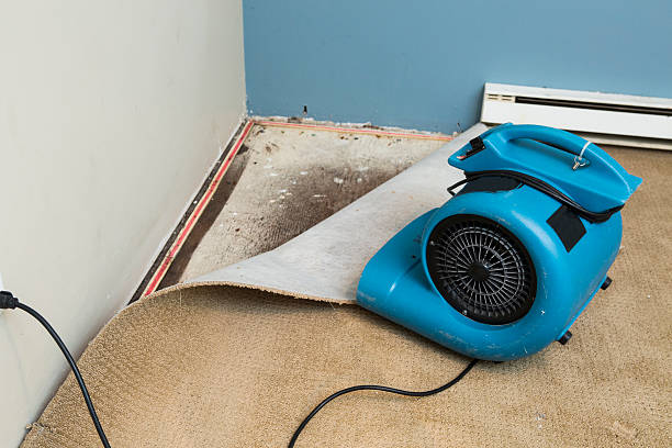Best Flooded house restoration  in Nocona, TX